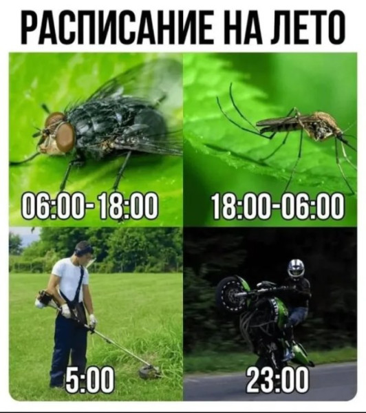 Мем: Юмор на день, iteam