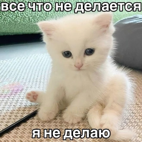 Мем: Юмор на день, iteam
