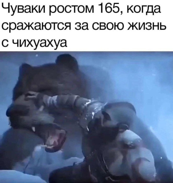 Мем: Юмор на день, iteam