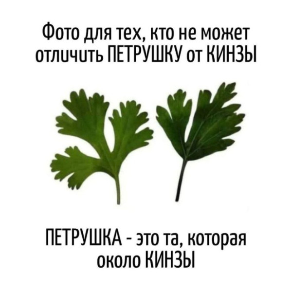 Мем: Юмор на день, iteam