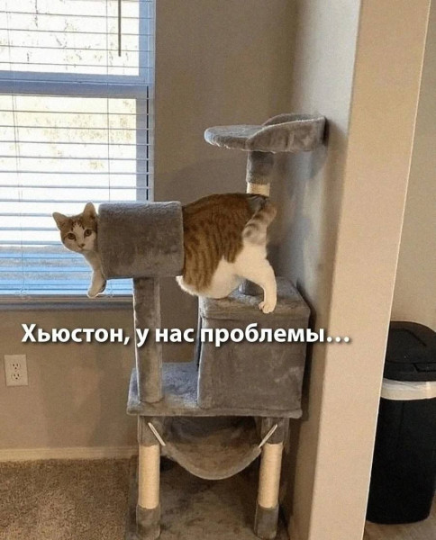 Мем, Леонид Хлыновский