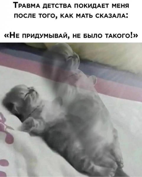 Мем, henh