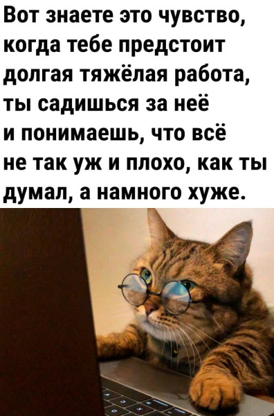 Мем, henh