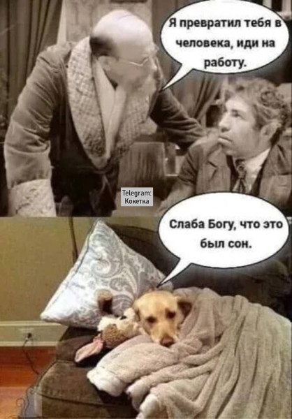 Мем, anberg