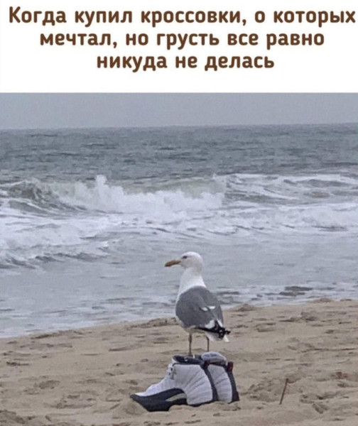 Мем: Прикол на день, iteam