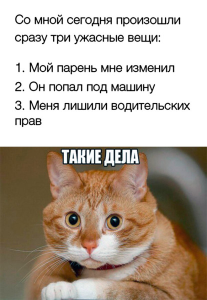 Мем: Прикол на день, iteam