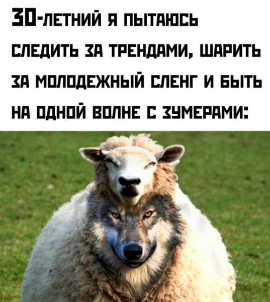 Мем: Прикол на день, iteam