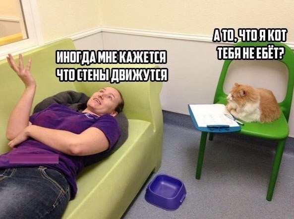 Мем, Кот Отморозкин