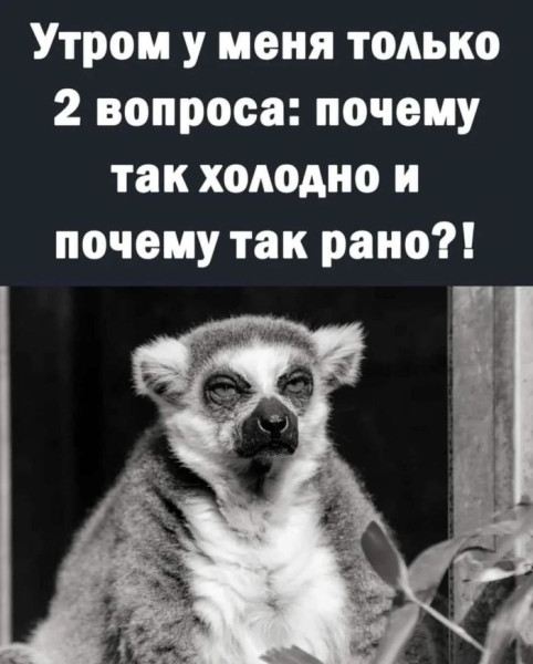 Мем: Кто рано встает, iteam