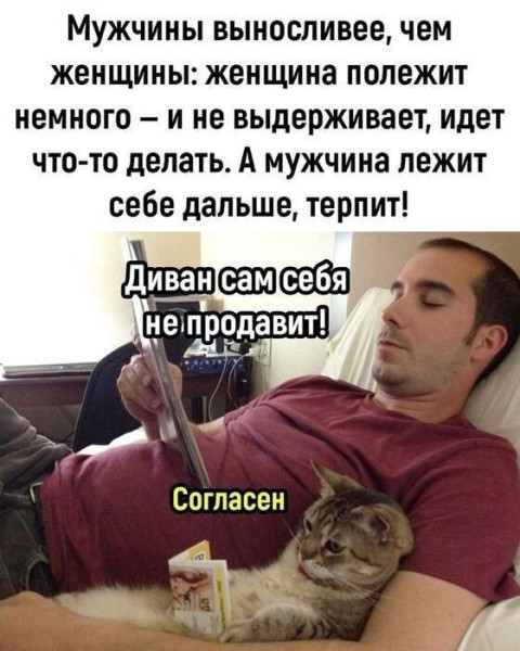 Мем, Mghost