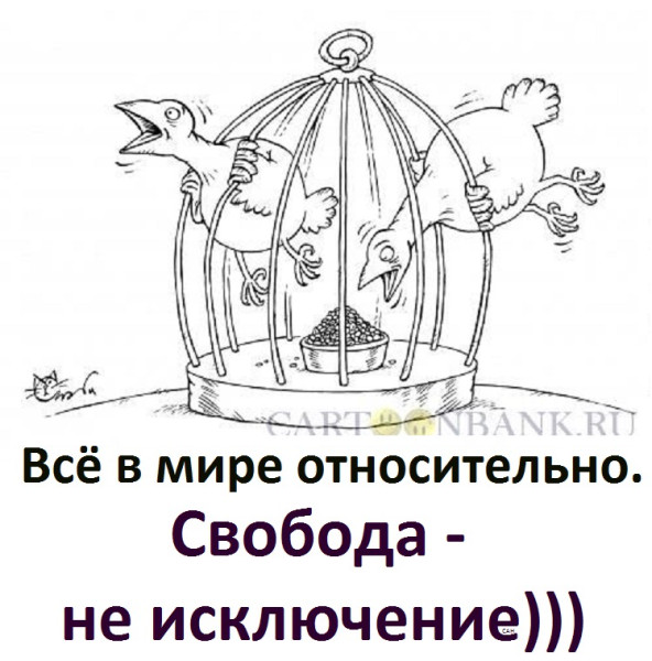 Мем, Александр САН