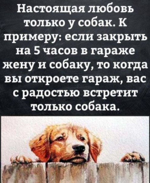 Мем, Vovei31