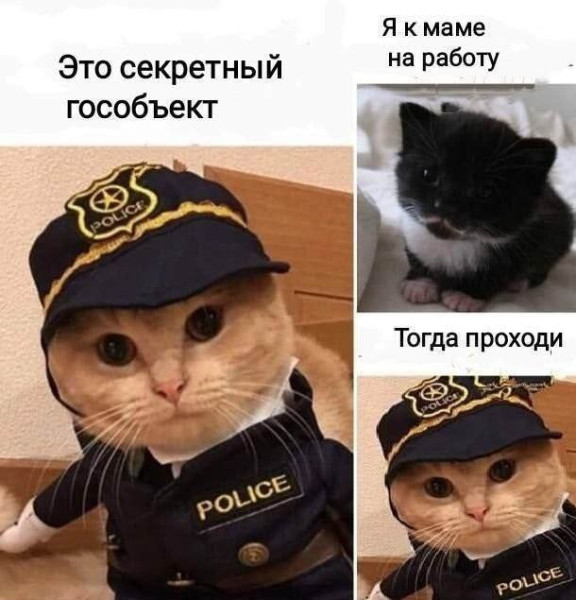Мем: Добрый юмор, iteam