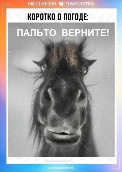 Мем: И подковы с подогревом!, Miiger