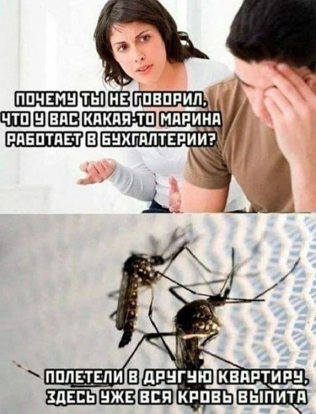 Мем: Про семейные отношения, iteam
