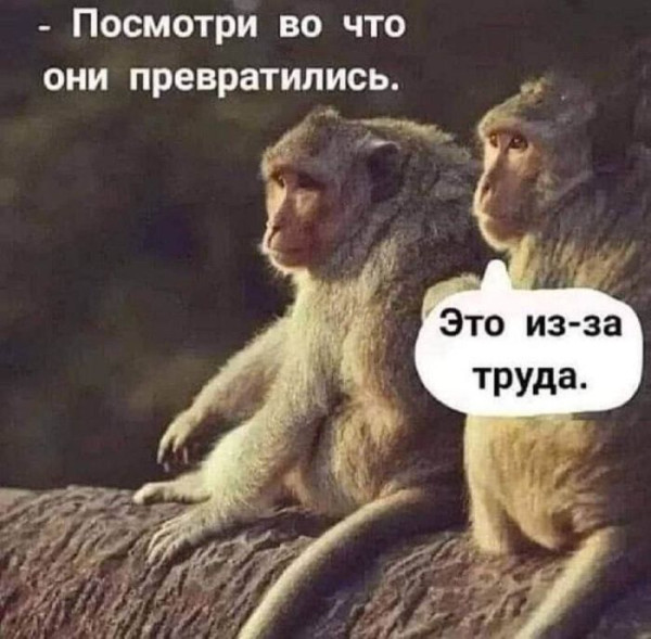 Мем: Смешной мем, iteam