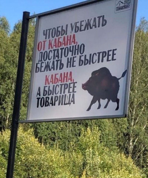 Мем: Истина, iteam