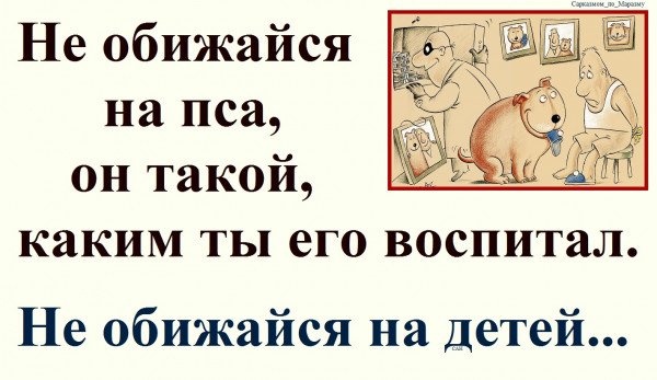 Мем, Александр САН