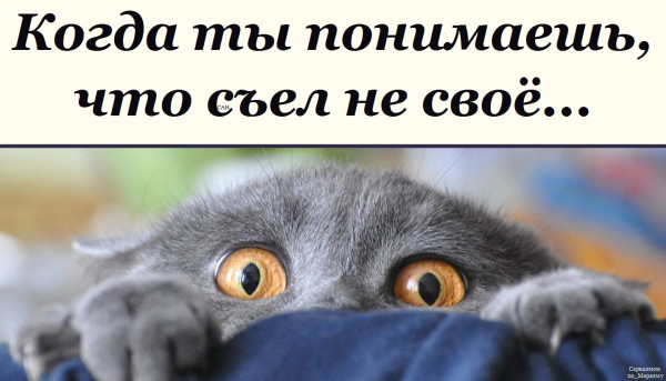 Мем, Александр САН