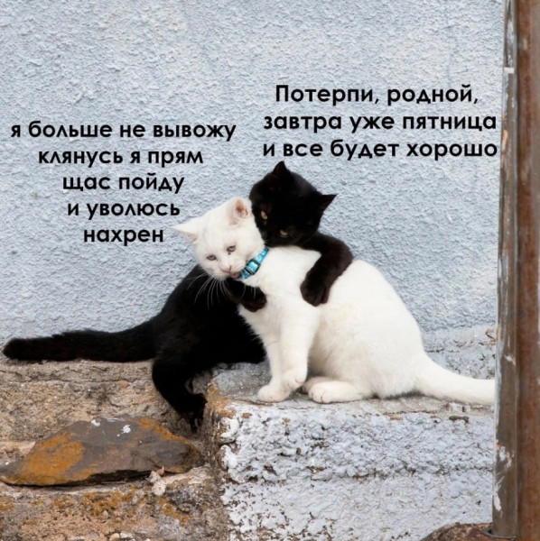 Мем: Коротко о работе, iteam