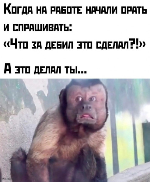 Мем: Приколы дня, iteam
