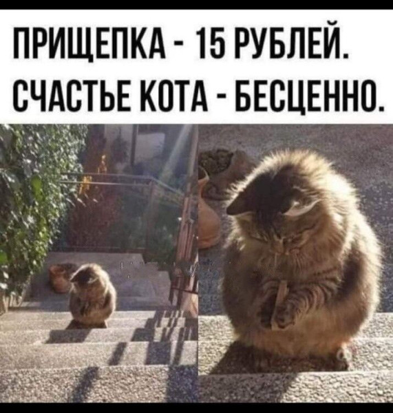 Мем: Что нужно для счастья, iteam