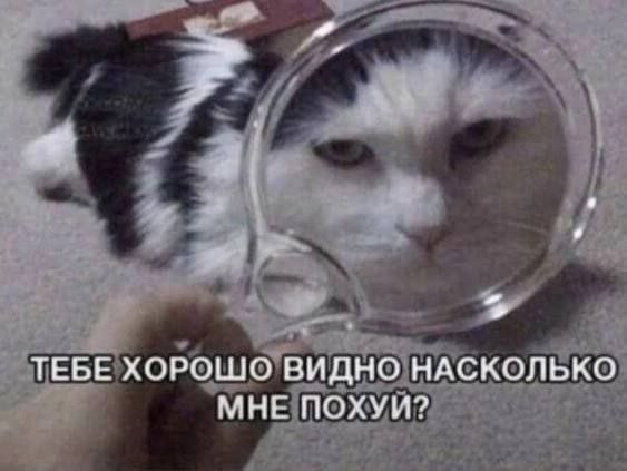 Мем, Леонид Хлыновский