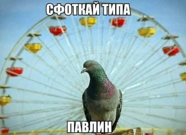 Мем: Добрый юмор, iteam