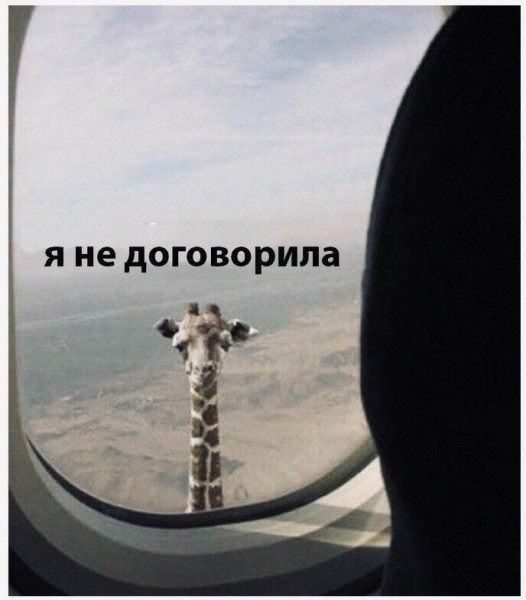 Мем: Когда поругался с женой, iteam
