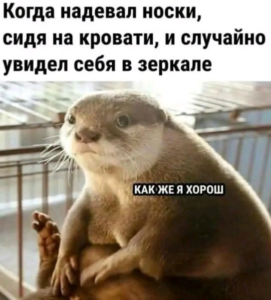 Мем: Свежий юмор, iteam