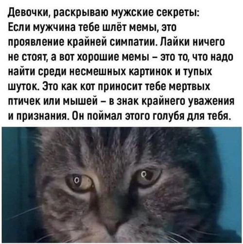 Мем, Mghost