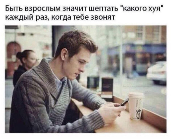 Мем, Максим Камерер