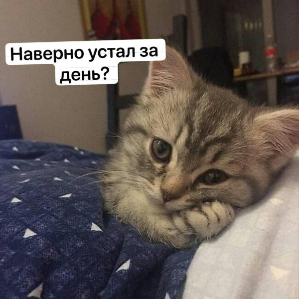 Мем, Леонид Хлыновский
