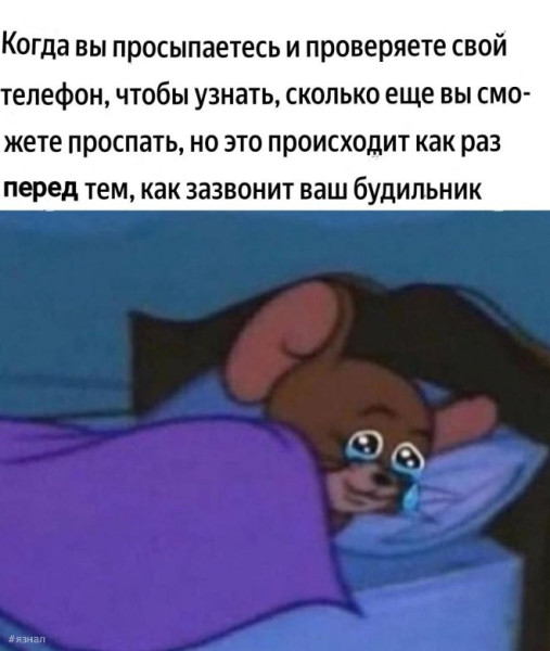 Мем: Юмор, iteam