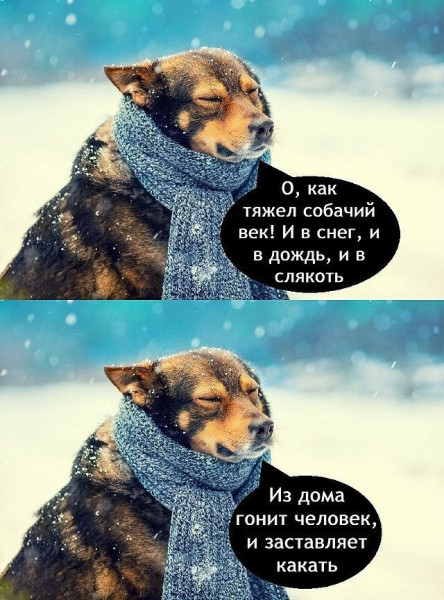 Мем, henh