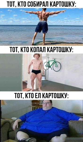 Мем: Юмор дня, iteam
