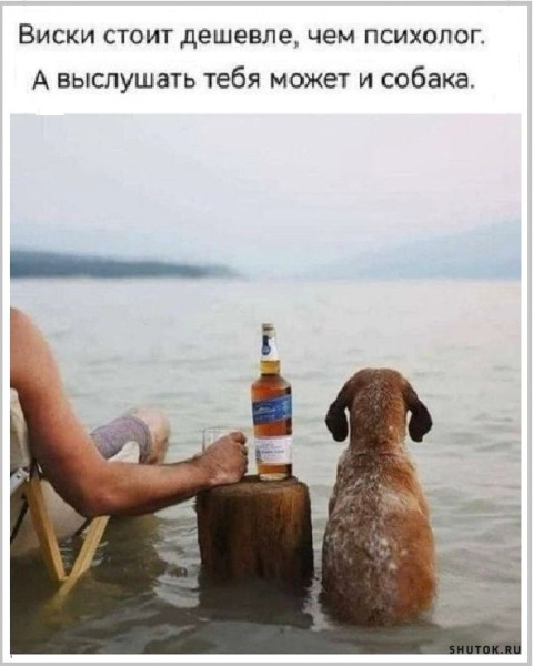 Мем, Vovei31