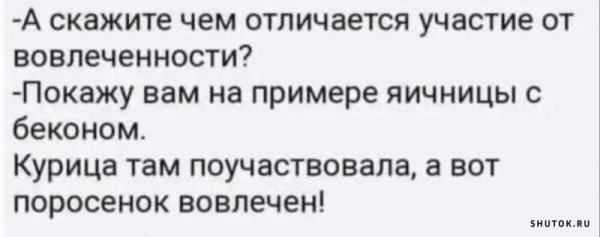 Мем, Vovei31 Мем, Vovei31
