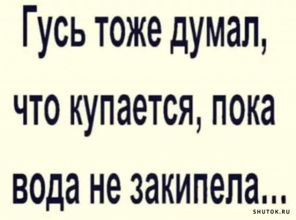 Мем, Vovei31 Мем, Vovei31