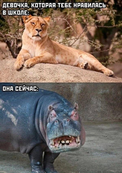 Мем, anberg