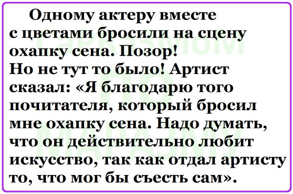 Мем, Александр САН