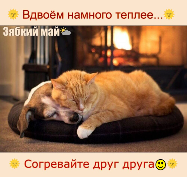 Мем Мем