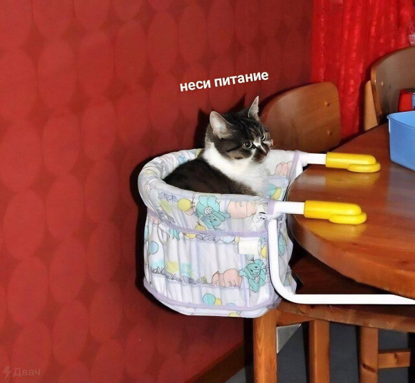 Мем, Леонид Хлыновский