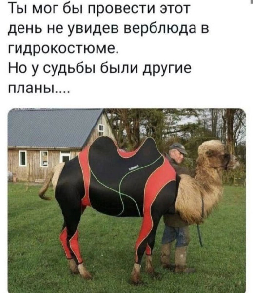 Мем, Леонид Хлыновский