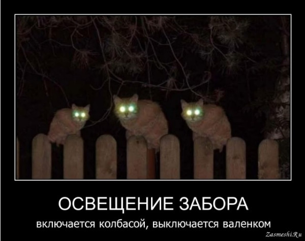 Мем: Электричество и электрики