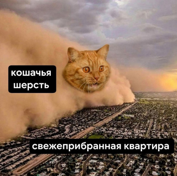 Мем, Леонид Хлыновский