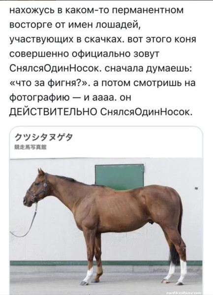 Мем, Mghost