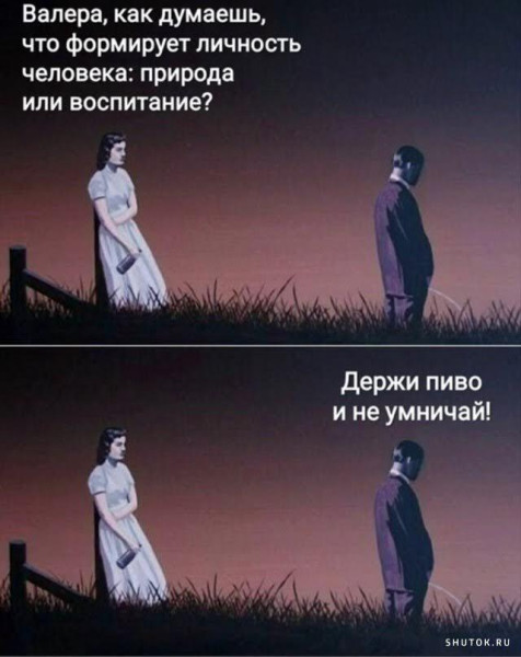 Мем, Vovei31 Мем, Vovei31