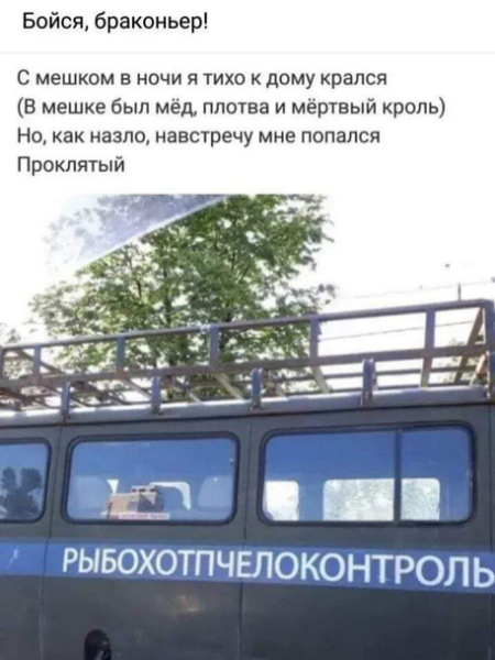 Мем, Ymir