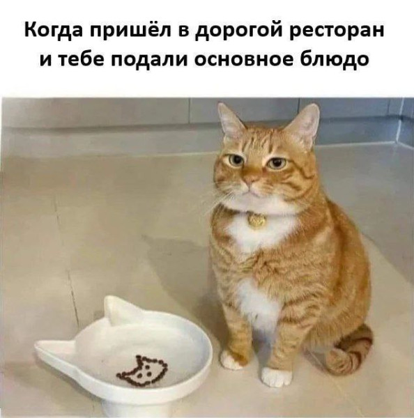 Мем, Леонид Хлыновский